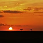 アメリカでプロのダンサーになるための道２９(アーティストビザ取得後)〜フルタイム・給料・カンパニー運営方法・ツアーカンパニー〜